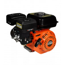 Двигатель Electrolite LT170F/Q